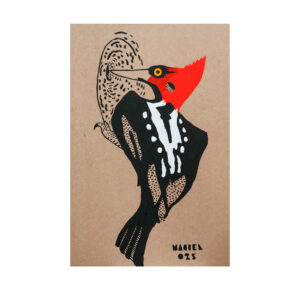 Pájaro carpintero. Leonel Maciel