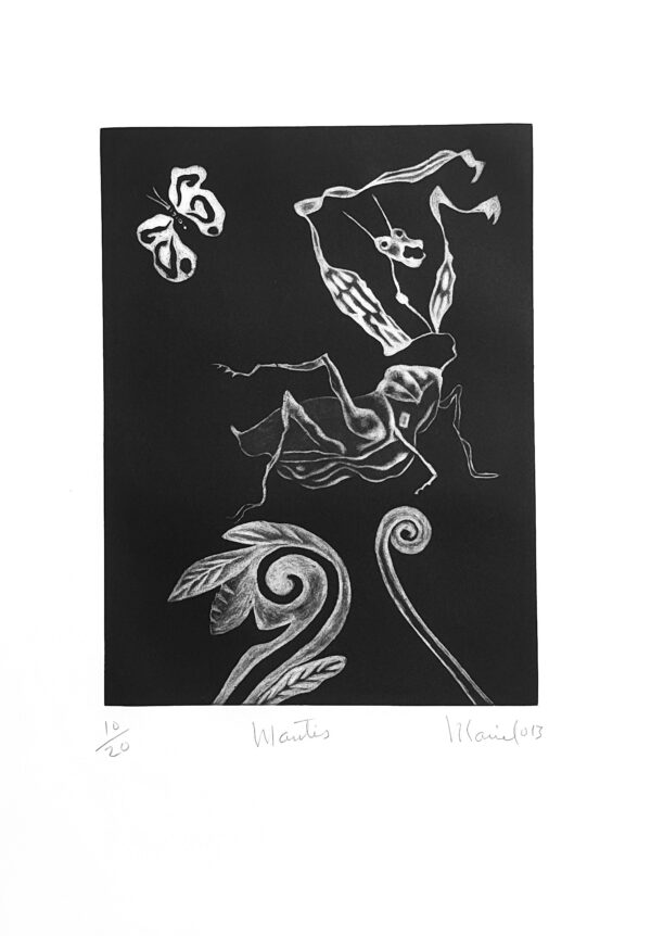 Mantis negra